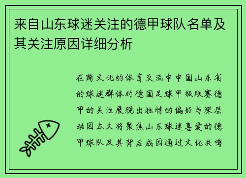 来自山东球迷关注的德甲球队名单及其关注原因详细分析